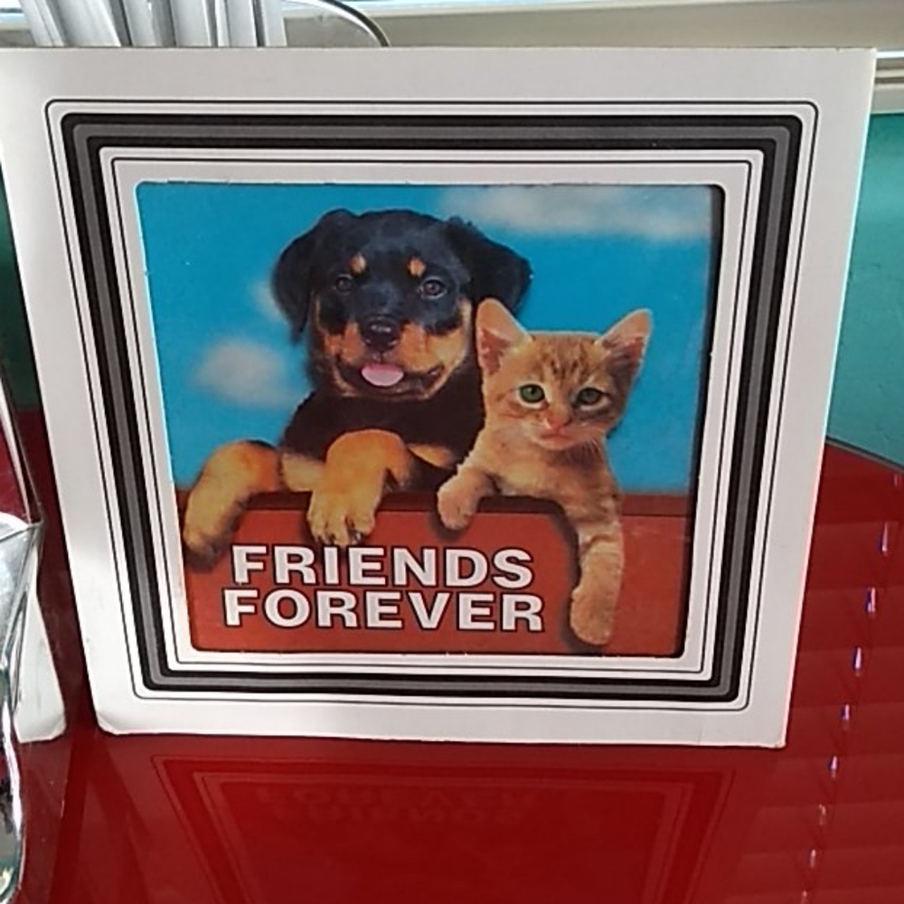 Glass cat and dog photo 🐈🐕